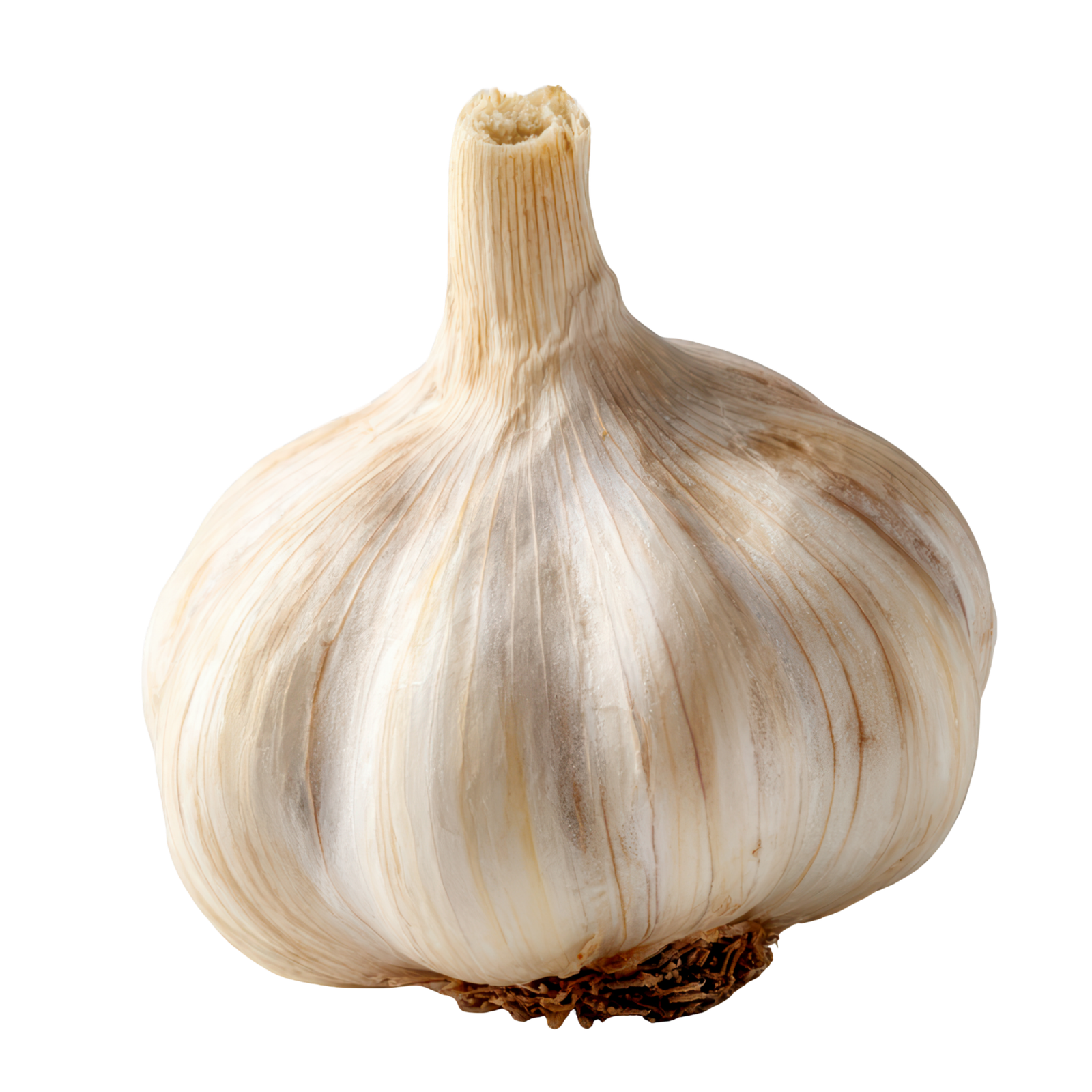 Garlic Icon