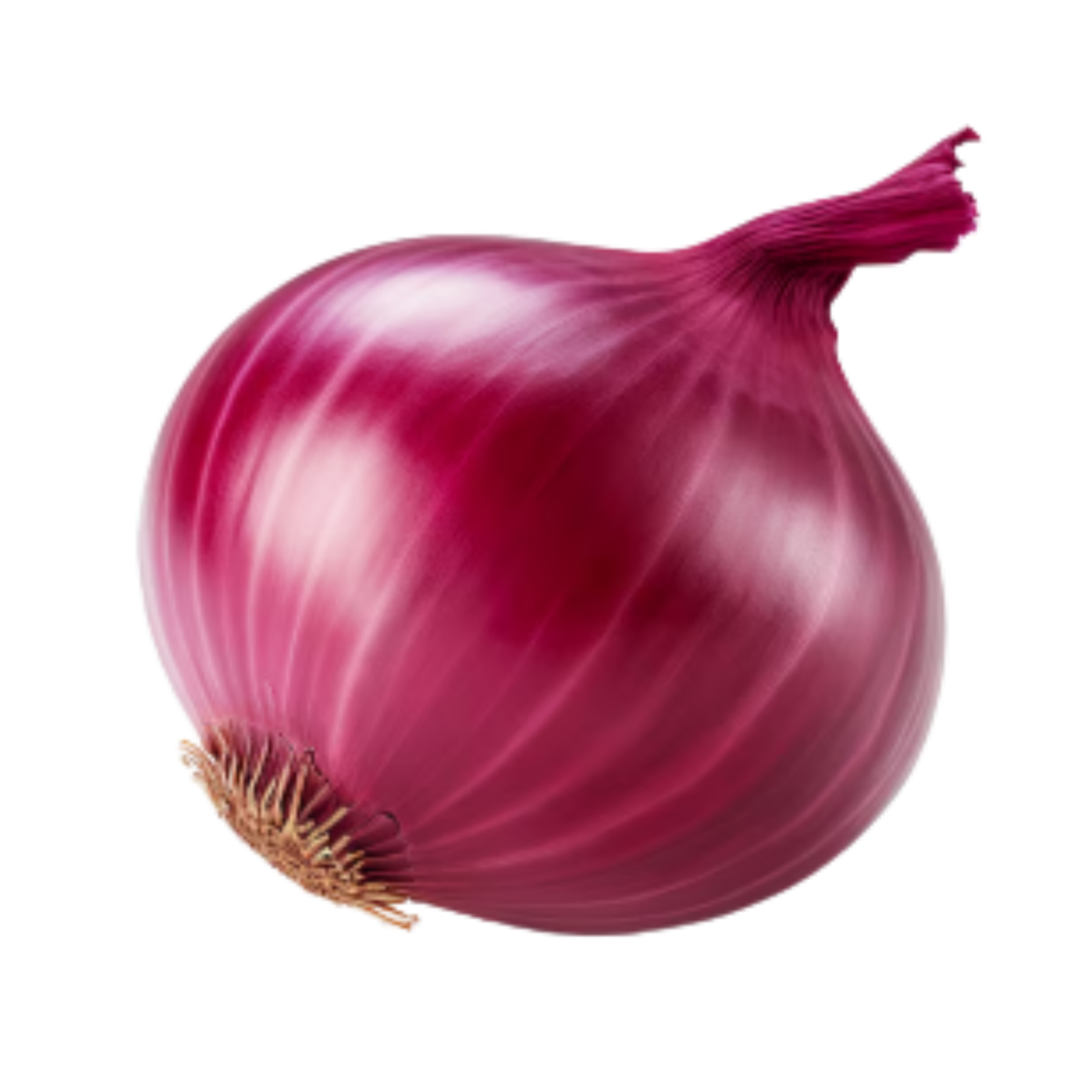 Onion Icon