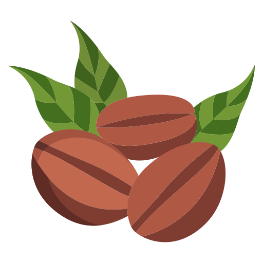 Raw Coffee Bean
