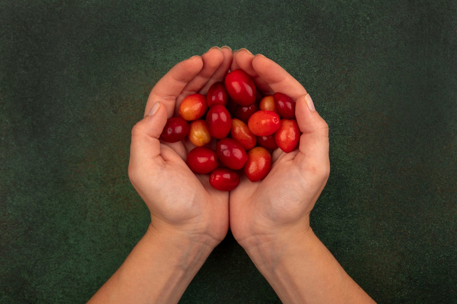 Hand Picked Cherries